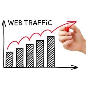 website traffic